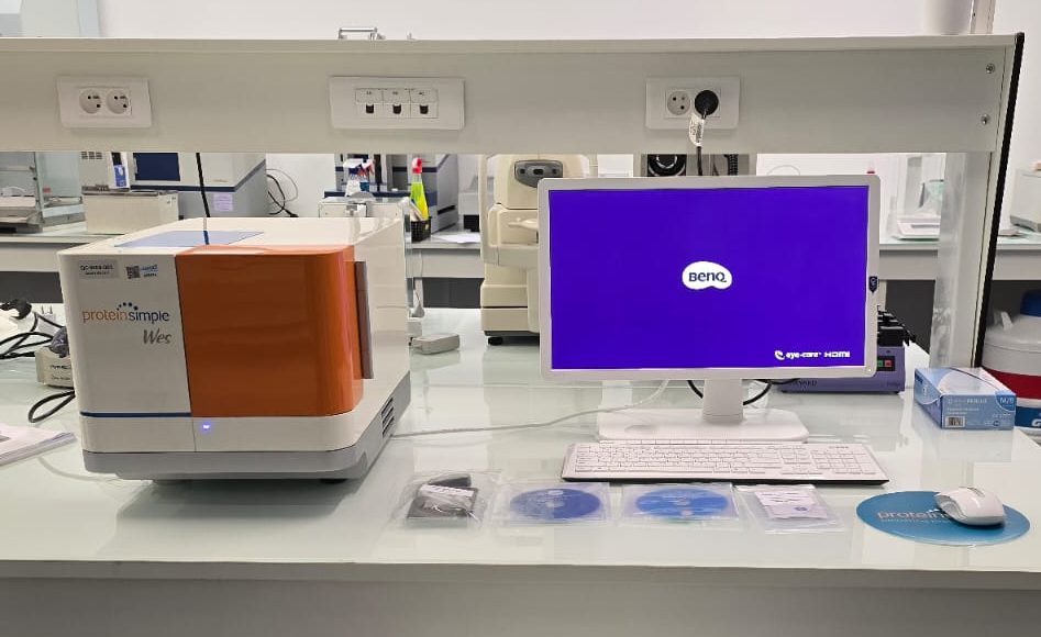 Système de Western Blot